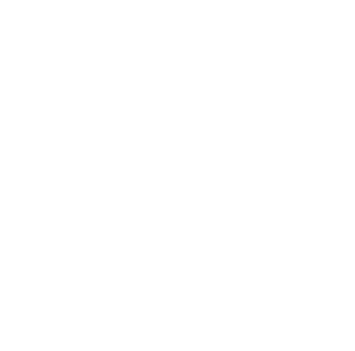 The Waco Bridge logo